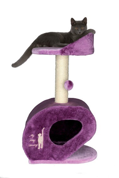 arbre a chat violet